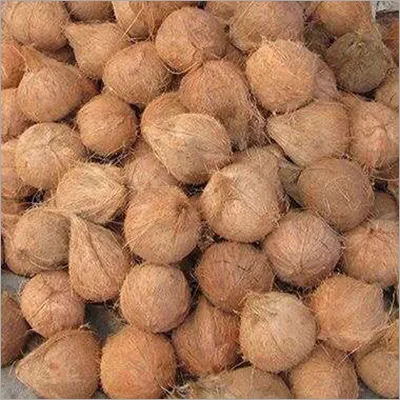Semi husk coconuts- 200KG